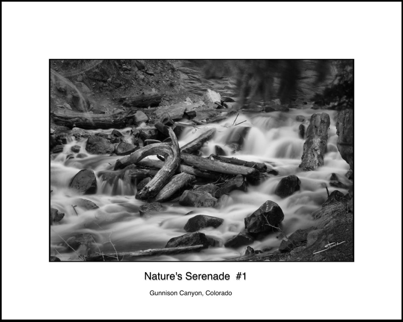 Nature's Serenade #1
